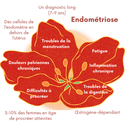 endometriose et fasciathérapie tarn