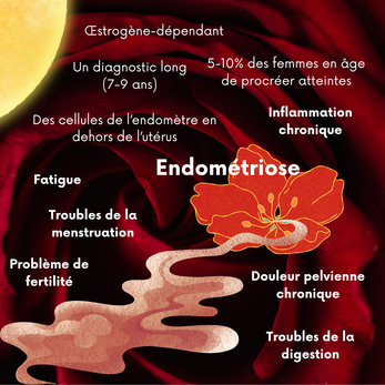endométriose et fasciathérapie